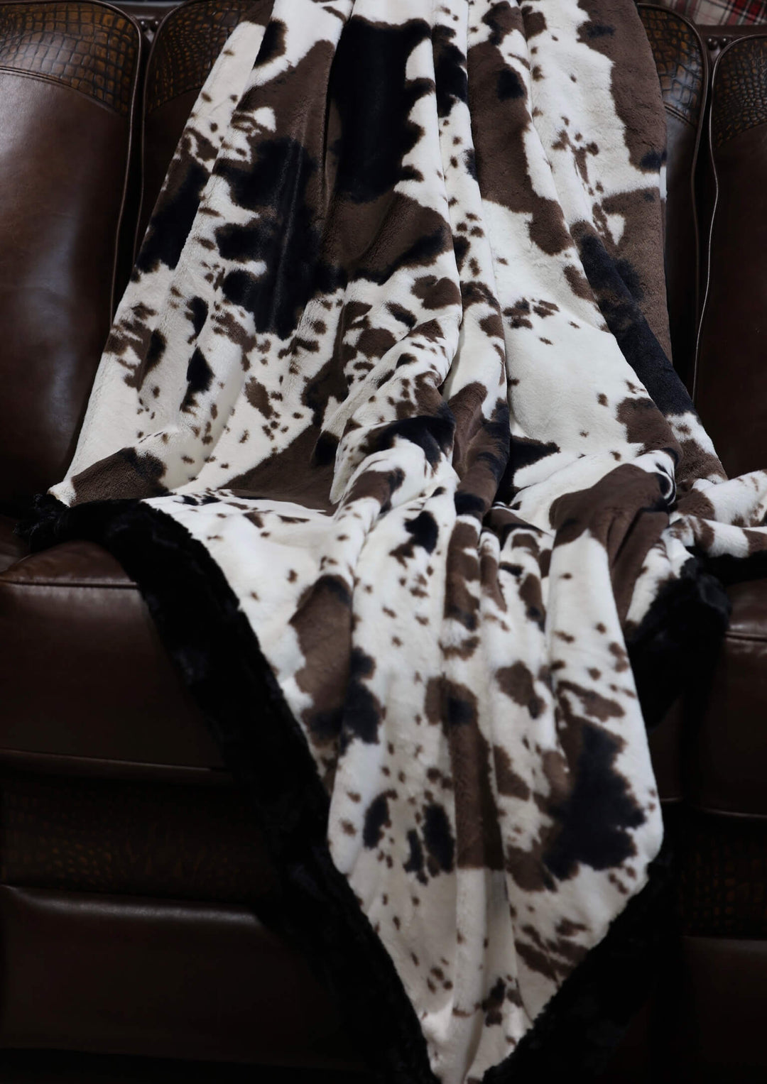 The Buckaroo Blanket