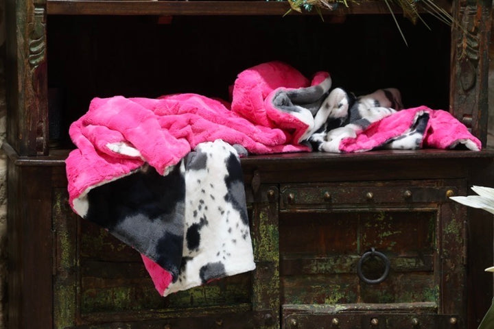The Cowgirl Storm Blanket