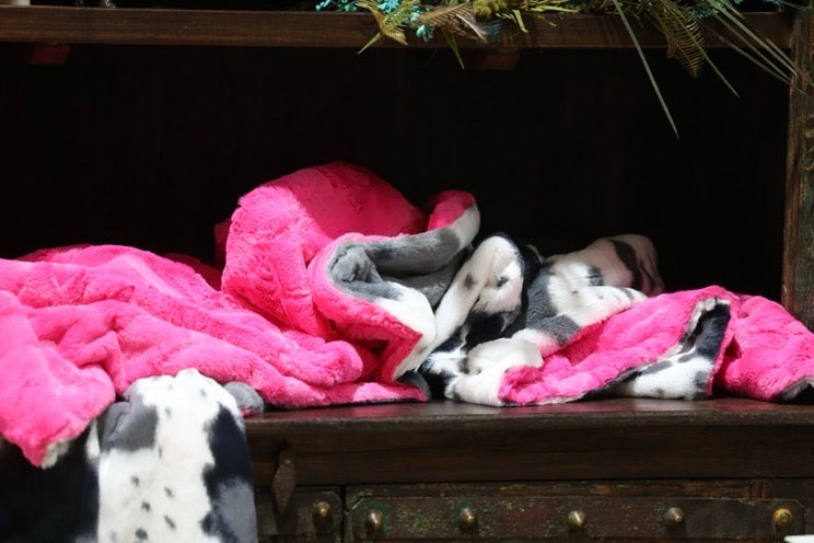 The Cowgirl Storm Blanket