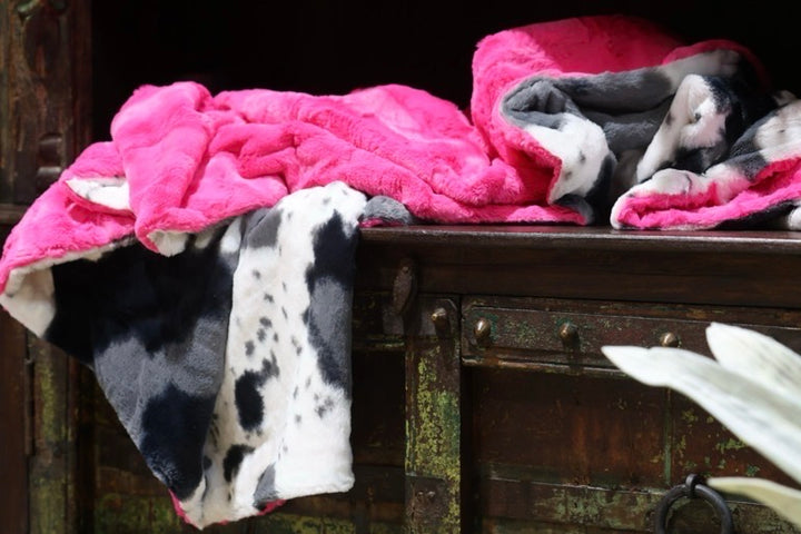 The Cowgirl Storm Blanket