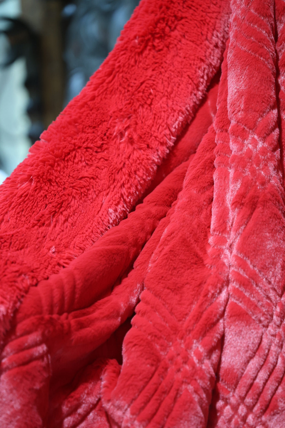 The Ruby Red Slipper Blanket