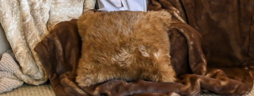 Matching Throw Pillow Add-On Subscription
