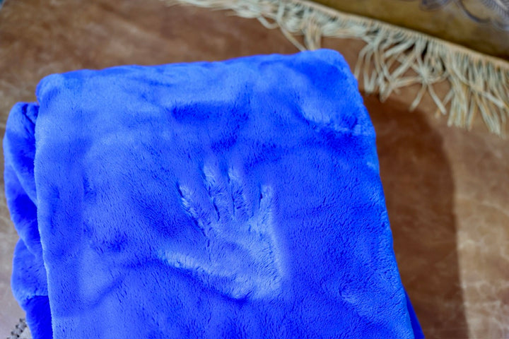 The Electric Bunny Blanket