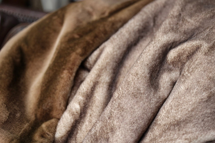 The Frontier Pecan Blanket